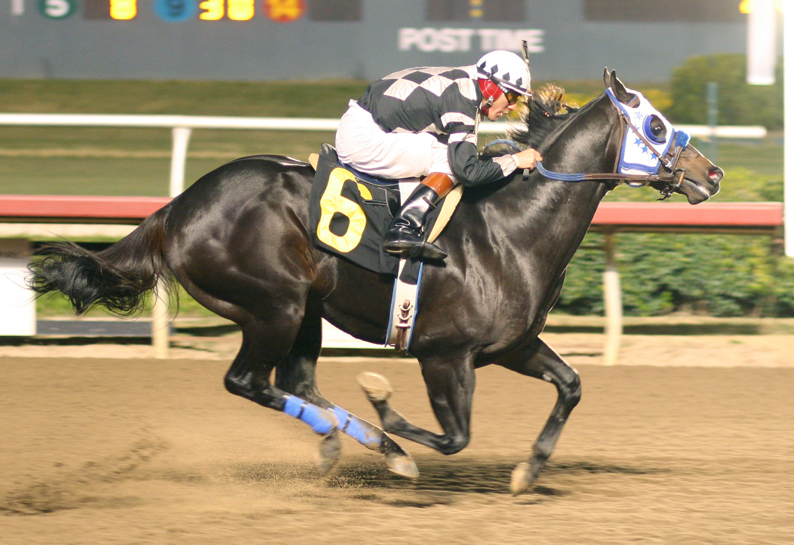 IJ race